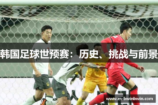 韩国足球世预赛：历史、挑战与前景
