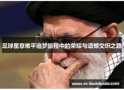 足球星意难平追梦旅程中的荣耀与遗憾交织之路